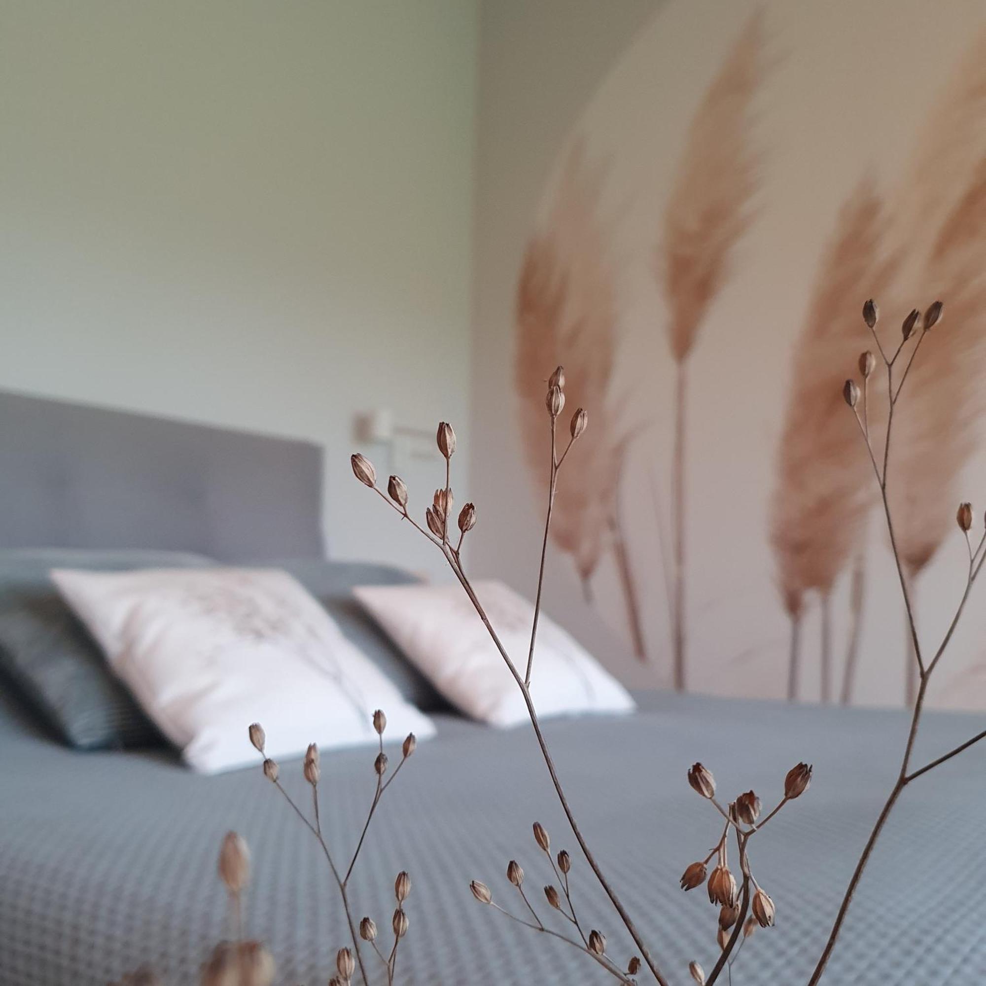 Hippe Schuur Bed & Breakfast Tytsjerk ภายนอก รูปภาพ